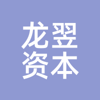 龙翌资本