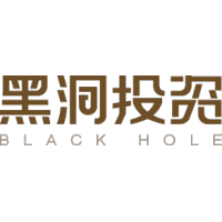 黑洞投资