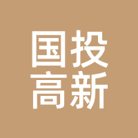 国投高新