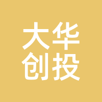 大华创投