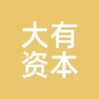 大有资本