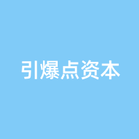 引爆点资本