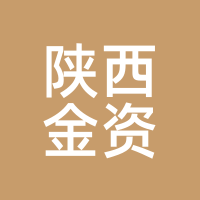 陕西金资