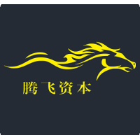 腾飞资本