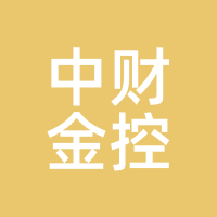 中财金控