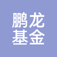 鹏龙基金