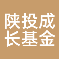 陕投成长基金