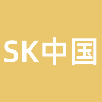 SK中国