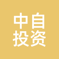 中自投资
