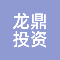 龙鼎投资