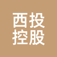 西投控股
