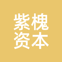 紫槐资本