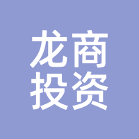 龙商投资