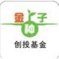 金种子创投