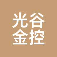 光谷金控