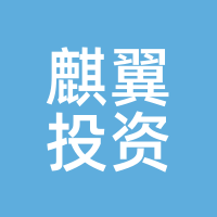 麒翼投资