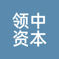 领中资本