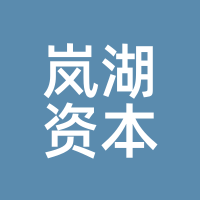 岚湖资本