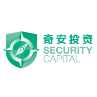 奇安投资