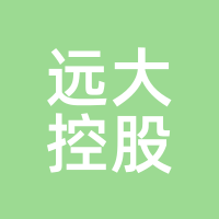 远大控股