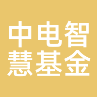 中电智慧基金