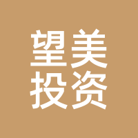 望美投资