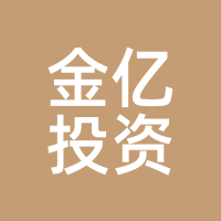 金亿投资