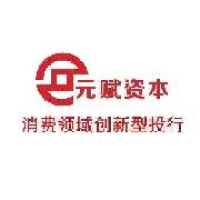 元赋资本
