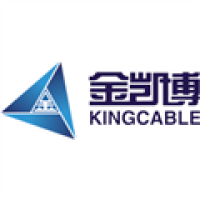 金凯博电子