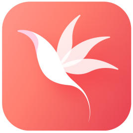 花信