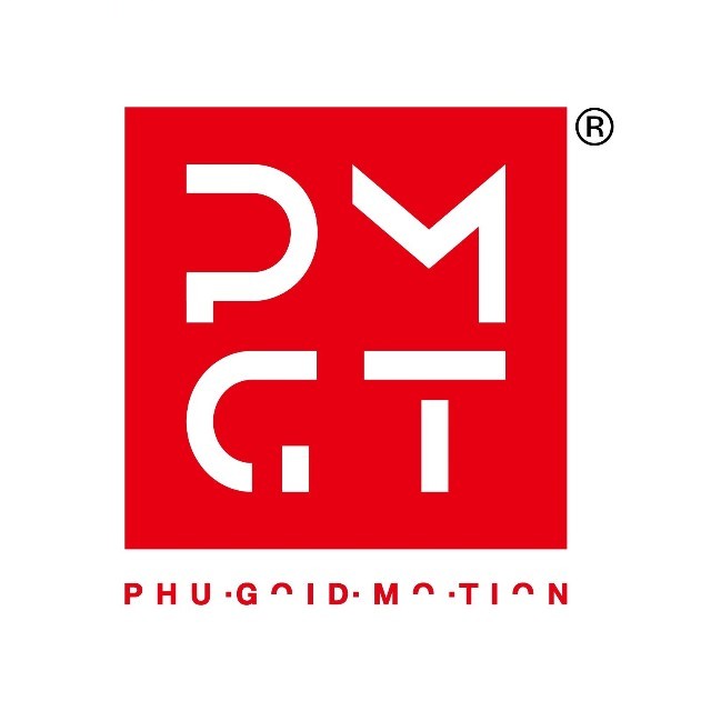 Phugoid Motion