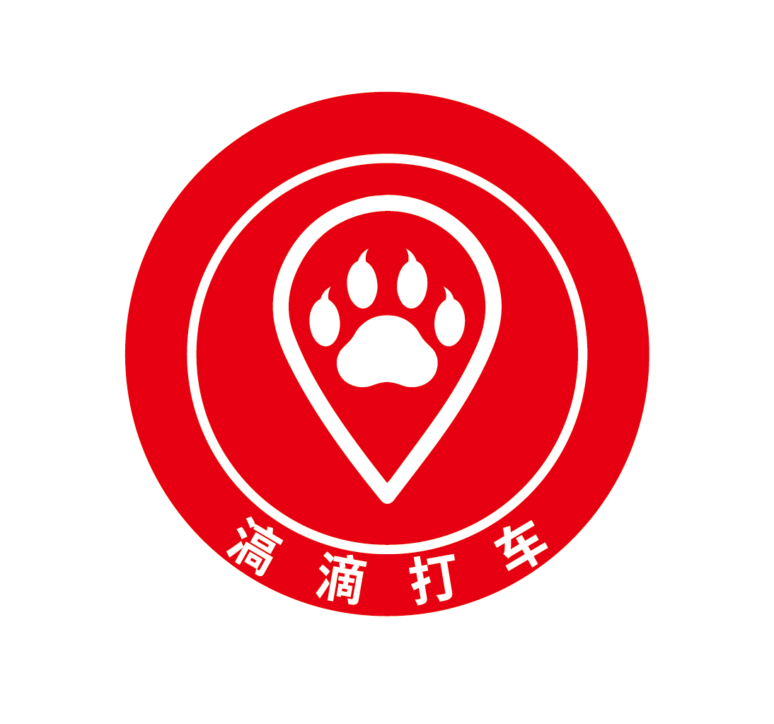 滈滴宠物出行