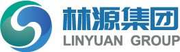 林源电力