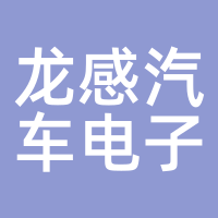 龙感汽车电子