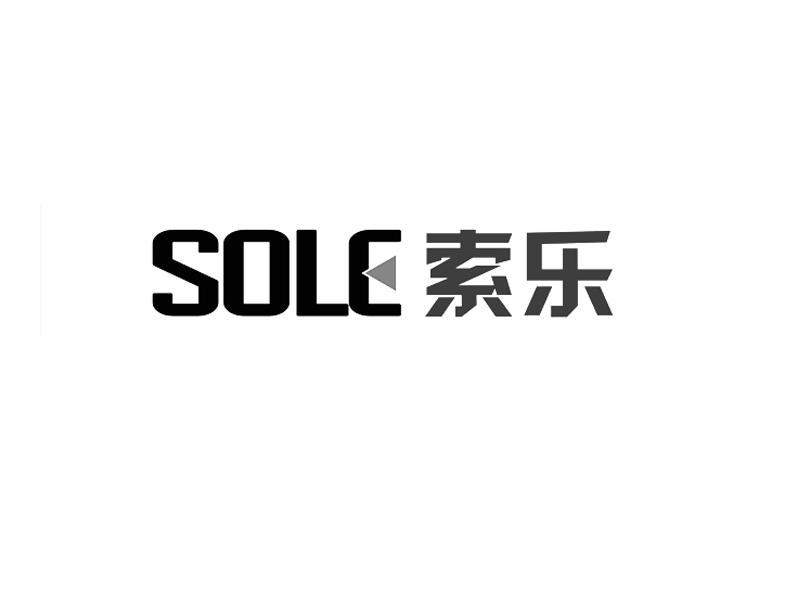 索乐电子
