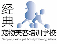 经典宠物
