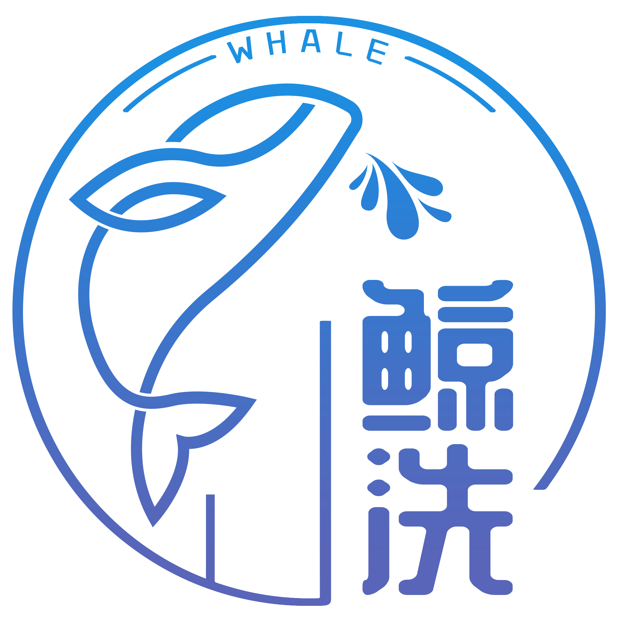 鲸洗整备
