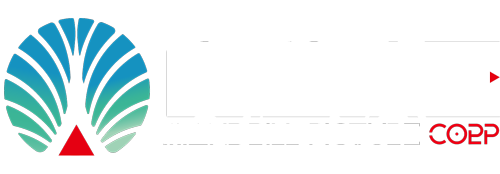 山魈映画