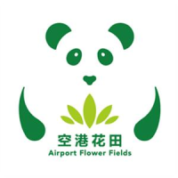 空港花田