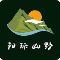 阳际山野