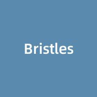 Bristles