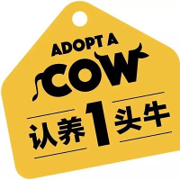 认养一头牛