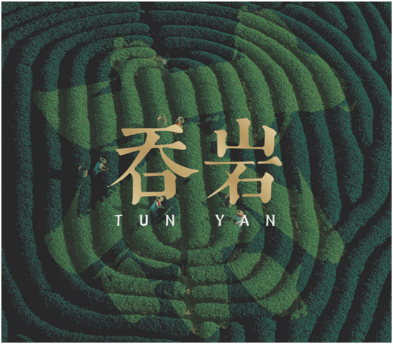 吞岩科技