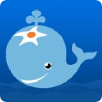 北京清软海芯科技