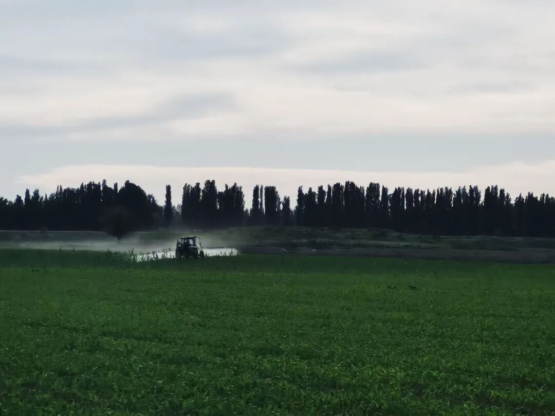 简篇-融通农业发展(乌鲁木齐)有限责任公司2025年第二批、第三批项目
招租公告