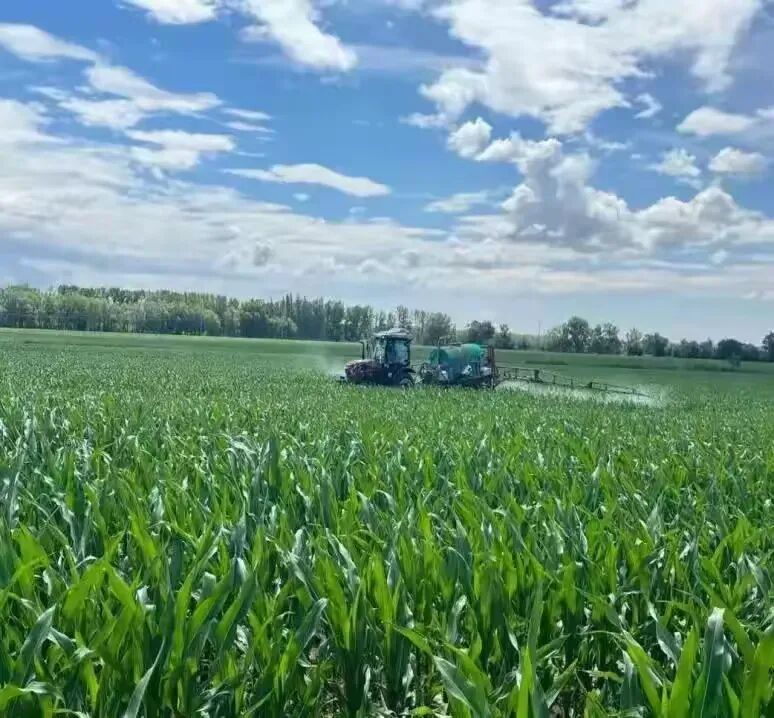 简篇-融通农业发展(乌鲁木齐)有限责任公司2025年第二批、第三批项目
招租公告